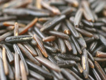 Wild Rice © Fotolia.com
