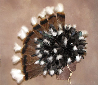 Cheyenne Dog Soldier Feather Headdress