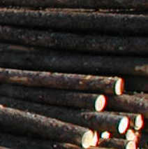 Pine Teepee Poles