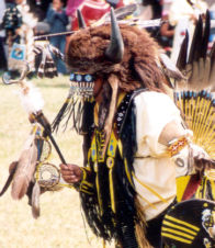 Buffalo Dancer