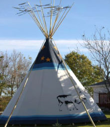 Caribou and Loon painted on a tipi cover from Assiniboine Tipis
