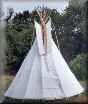 American Buffalo Tepee