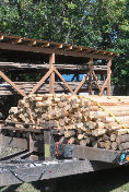 Tepee Poles