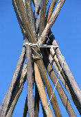 Tepee Poles