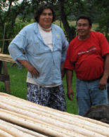 Ojibway Indians Indiens recoltant les perches des tipis