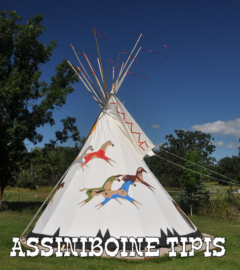 Painted Lakota Pony Tepees