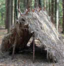 PRIMITIVE SURVIVAL SHELTER