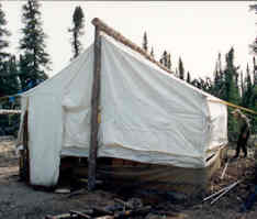 Wall Tent